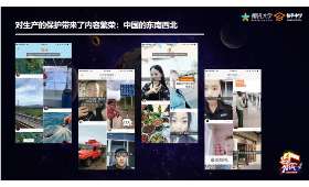 京东社区电商,重塑电商生态的新力量 京东社区电商,重塑电商生态的新力量